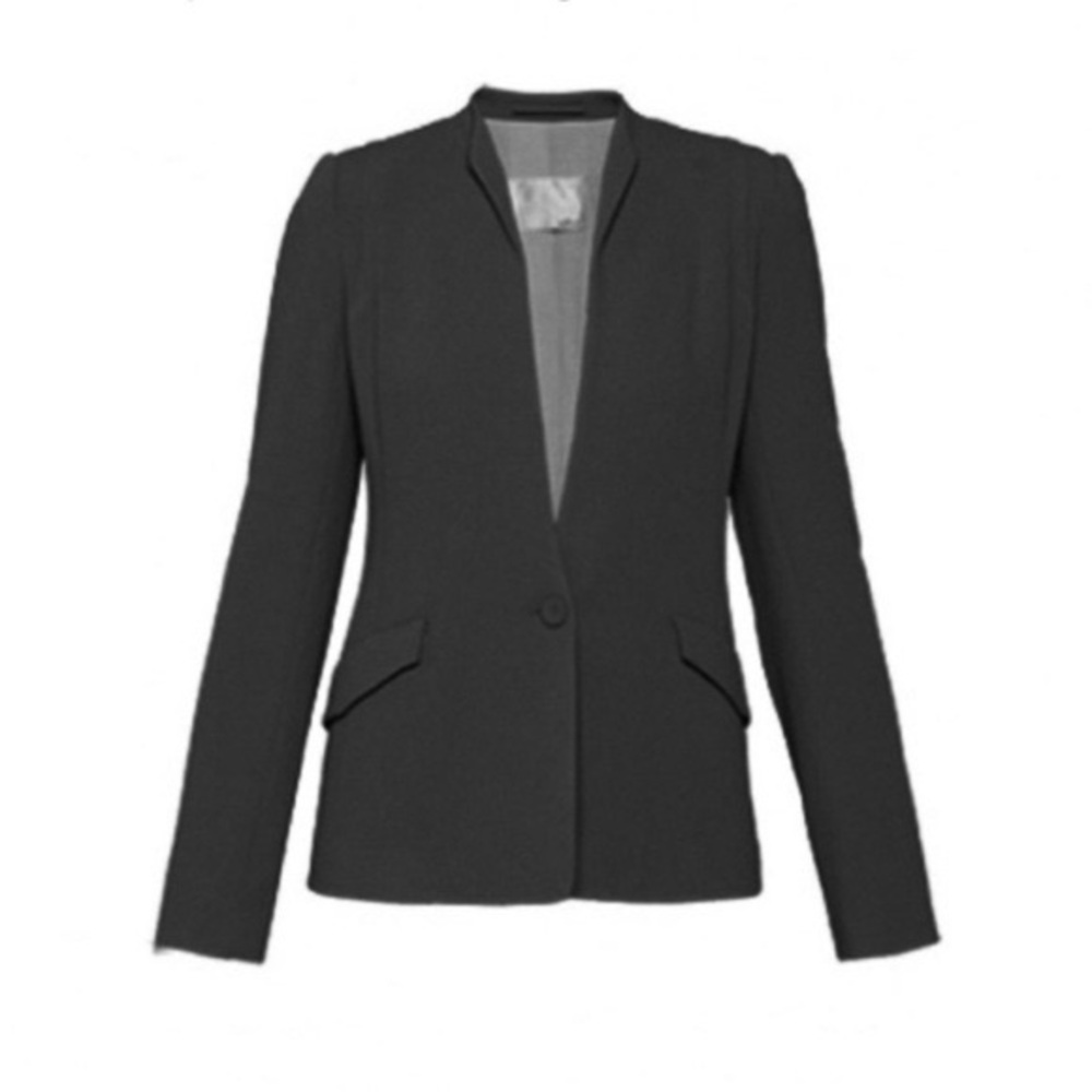 Aritzia Wilfred Monde Blazer